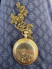 Antique 1887 Waltham Pocket Watch – 7 Jewels – Floral Gold Filled Hunter Case (R