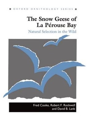 Snow Geese of LA Perouse Bay : Natural Selection in the Wild, Hardcover by Co...