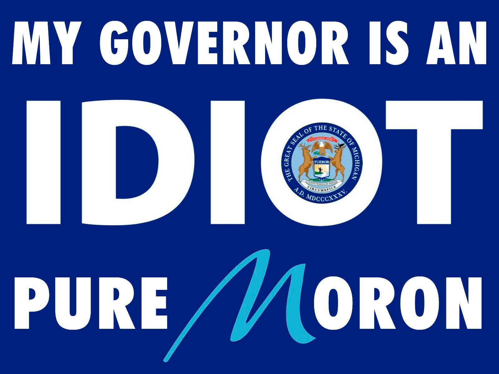 My Governor Is An Idiot Newyork' Sticker