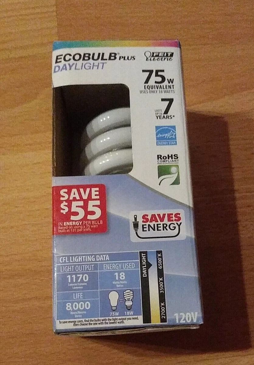 Ecobulb daylight 2024