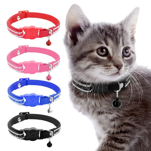 xs kitten collar