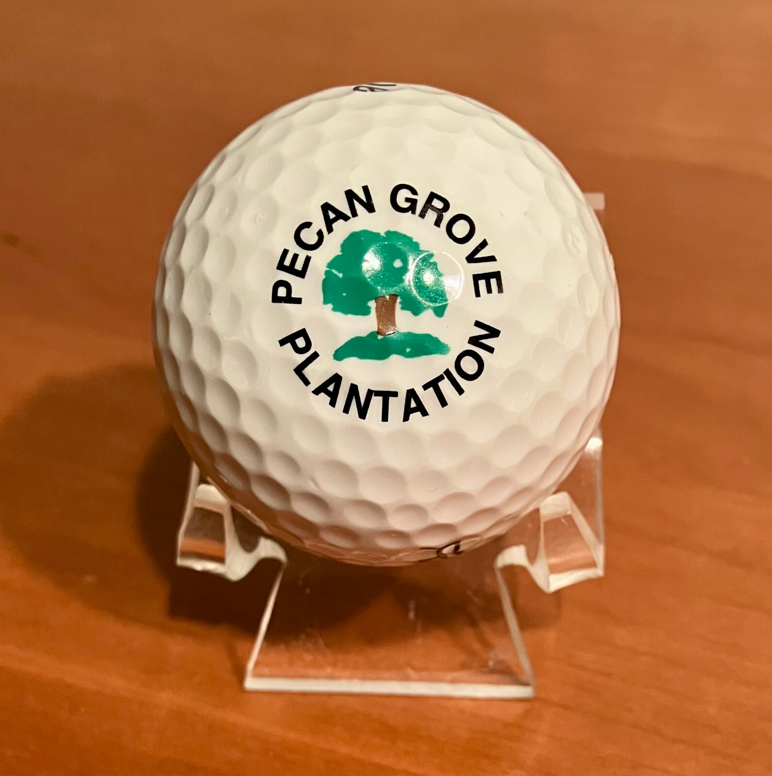 Pecan Grove Plantation Vintage Older Logo Golf Ball eBay