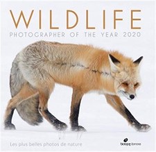 Wildlife Photographer of the Year: Die schönsten Naturfotos