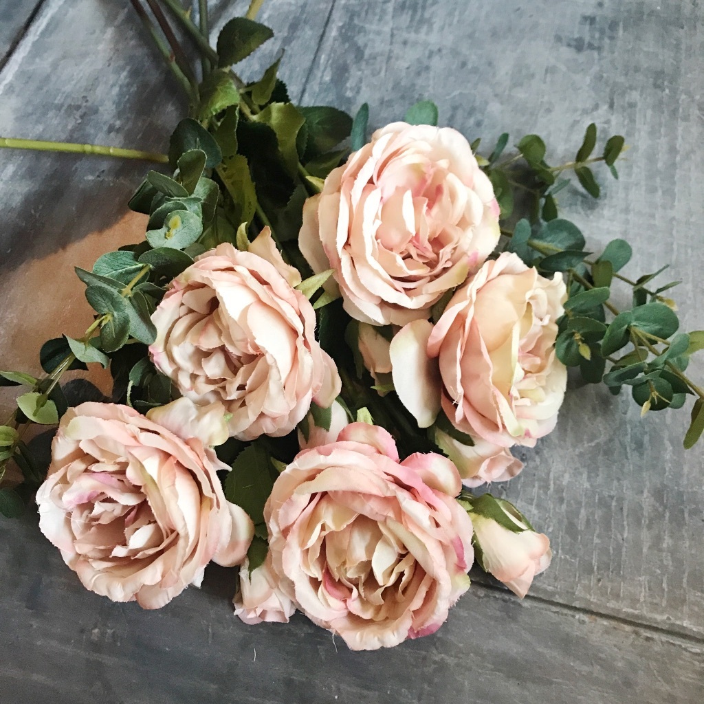 Antique Roses Vintage Roses – New Book Release!