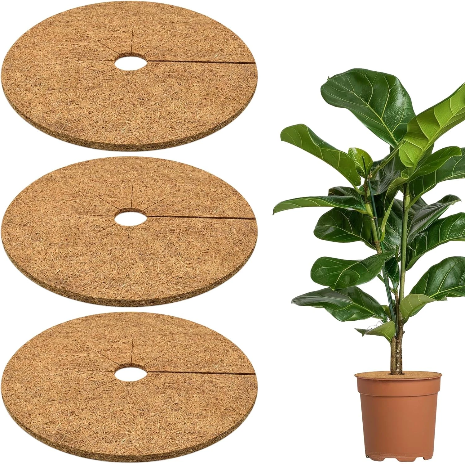 3 Pcs Coconut Fibers Mulch Ring Tree Protector Mat, 14 Inch Coco Coir Tree Prote - Picture 1 of 12