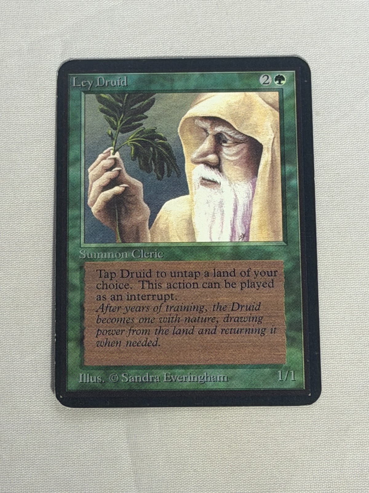 MTG Ley Druid Alpha Magic the Gathering