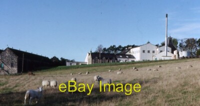 Photo 6x4 Cardhu Distillery The main complex of the distillery from acros c1991