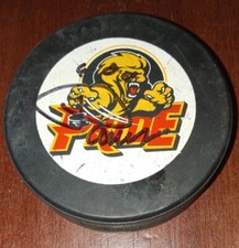 Pee Dee Pride ECHL Signed by PAWS Hockey Puck LINDSAY Canada Retired Minors RARE