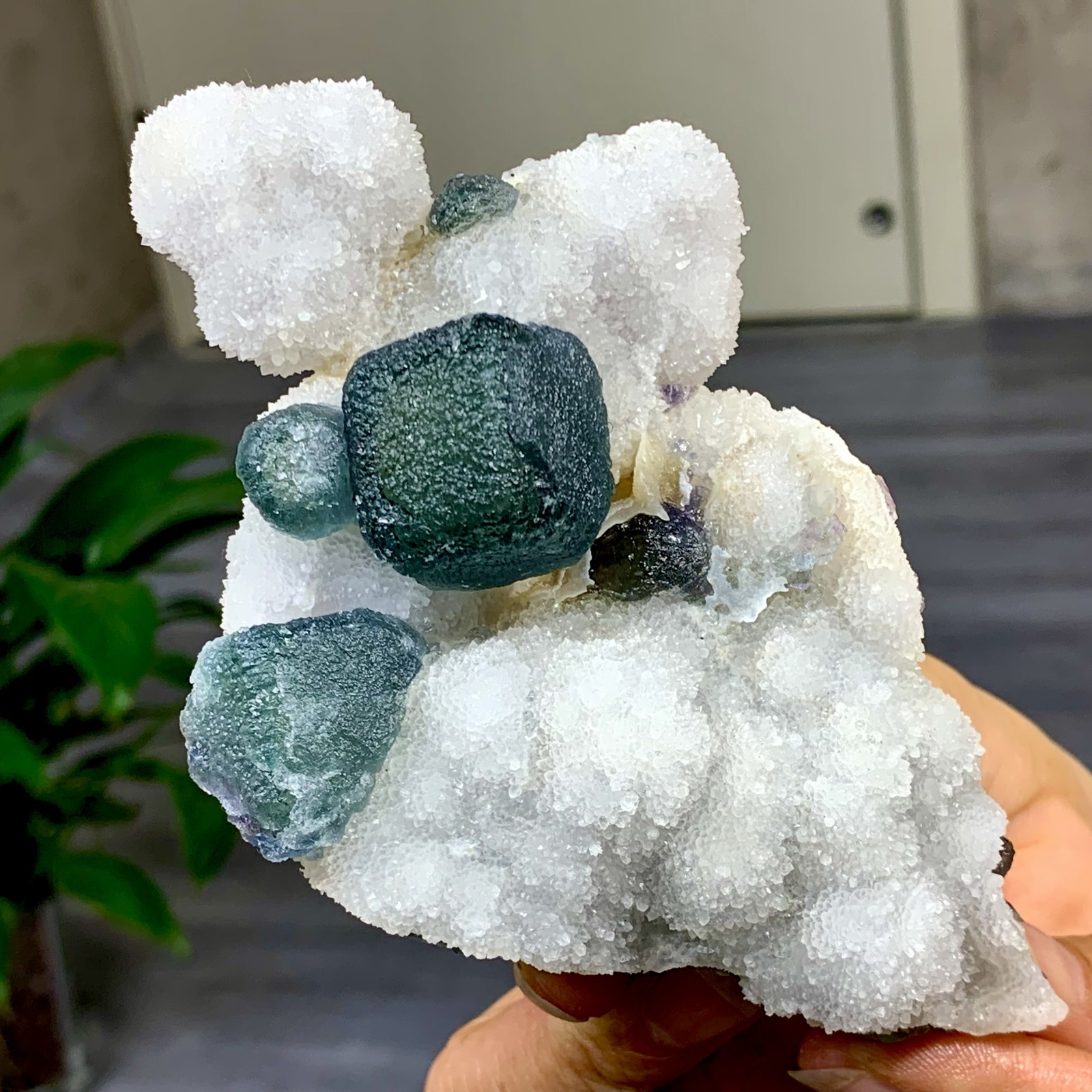 307G Natural transparent green cubic fluorite mineral crystal sample/China