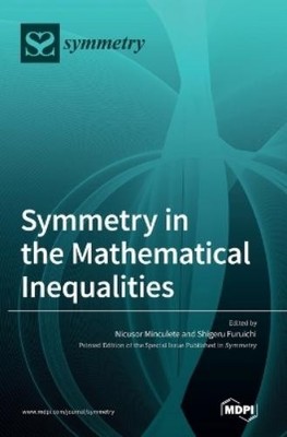 Shigeru Furuichi Nicusor M Symmetry in the Mathematical Ineq (Gebundene Ausgabe)