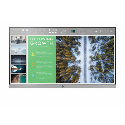 HP EliteDisplay E243 24'' 1920 x 1080 Pixel IPS Entspiegelt ohne Standfuß Silber