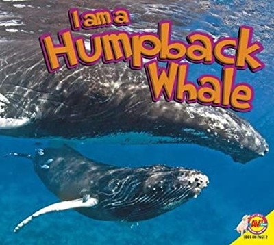 Humpback Whale Hardcover Aaron Carr
