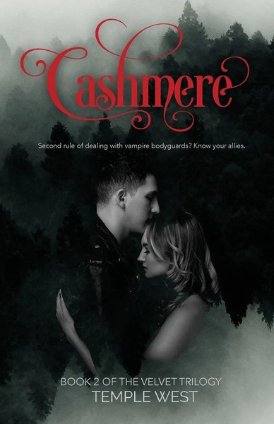 Cashmere Book 2 Of The Velvet Trilogy Temple West Taschenbuch Velvet Trilogy-image