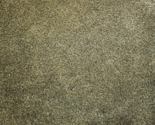 Image of Turtle Mat - Dirt Trapper - Sage Green - Latex - 150x75cm