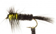  1 Dozen Weighted Montana Nymph Fishing Fly