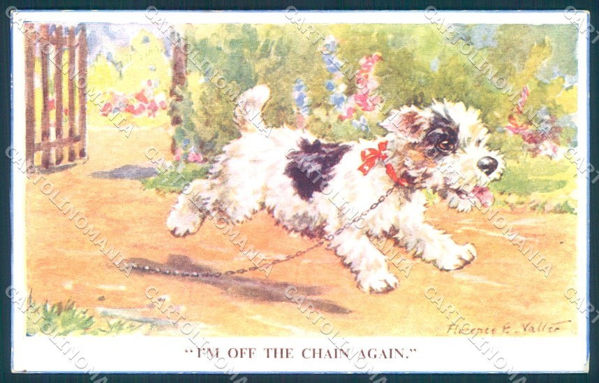 Animali Firenze Valter Cane Cairn Terrier ? Cartolina San Valentino 541 TW1237
