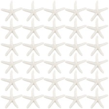 Framendino, 30 Pack 2.3 Inch White Starfish Resin Pencil Finger Decor Ornamen...