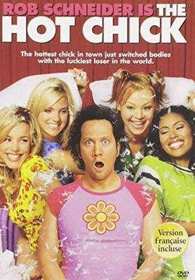 The Hot Chick - DVD - GOOD