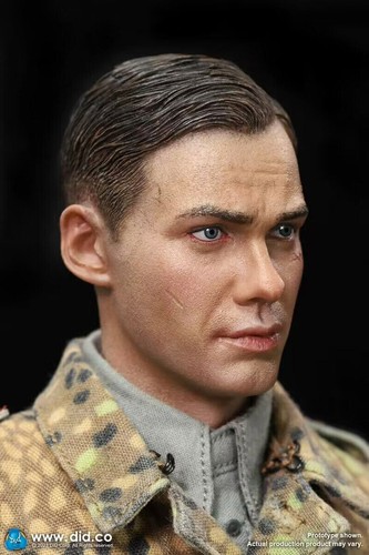 DID D80171 1/6 WWII German 12th SS Panzer Division Oberschütze Lio IN STOCK - Picture 17 of 17