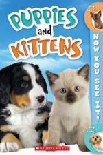 Now You See It! Puppies and Kittens by Corse, Nicole