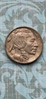 ONE-YEAR-ONLY REVERSE 1913 "P" Type  Buffalo BEAUTY "XF/AU" w/ FULL HORN, SHEEN!