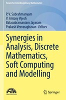 Synergies In Analysis, Discrete Mathematics, Soft Computing And Modelling | Buch