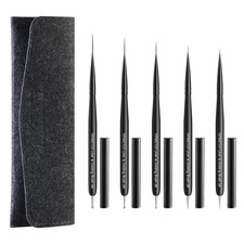 Nail Art Liner Brushes 5Pcs with Caps  Bag Thin Liner  Dotting Pen Set