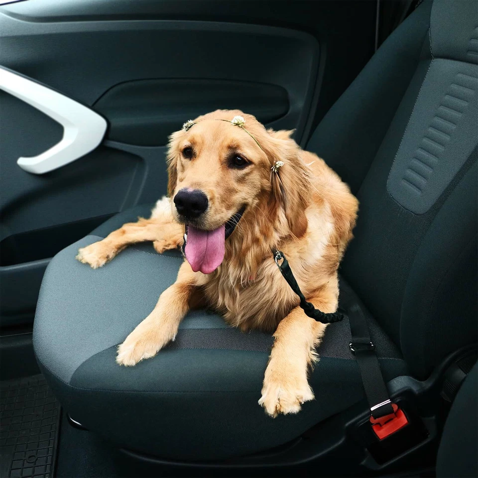 Auto Pkw Perros Animal Cinturón de Seguridad Cinturón Verbindungs-Gurt Ajustable - Imagen 3 de 4