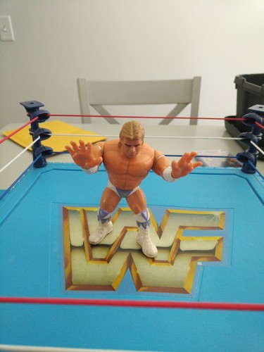 LEX LUGER WWF Hasbro Vintage Wrestling Action Figu...
