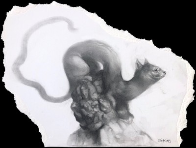 Greg ''Craola'' Simkins A Weasel Study Charcoal Framed Original Art