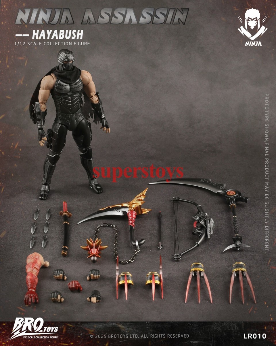 BROTOYS LR010 1/12 Ninja Assassin Falcon 6