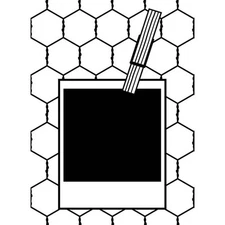  #155 Darice Embossing Folder "POLAROID" 