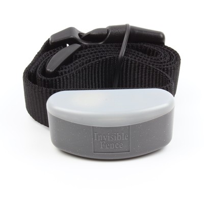 invisible fence box beeping