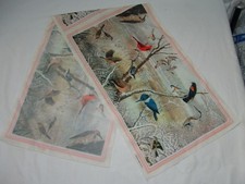 National Wildlife Federation 1979 Vtg Scarf Long Birds Ornithology Cardinal