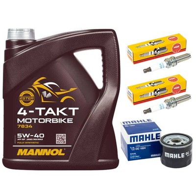 Set Öl Inspektion 4L Ölfilter Zündkerzen für BMW R 1200 GS K50 K51 R1200 2013-18