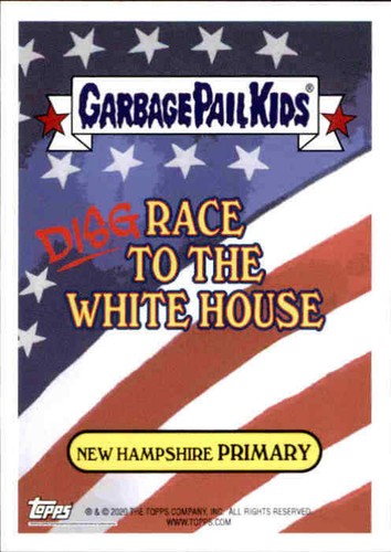2020 Garbage Pail Kids New Hampshire Primary 10 Sticker Set Only 1666 Made Trump - Picture 2 of 12
