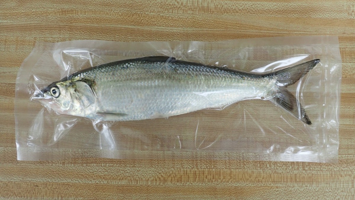 Skipjack Catfish Candy! READ, THEN Message me!