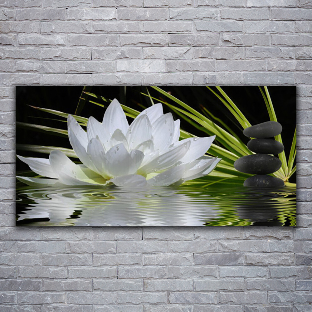 Tableau acrylique 120x60 cm Tulup fleur et pierre pour illuminer une pièce sombre