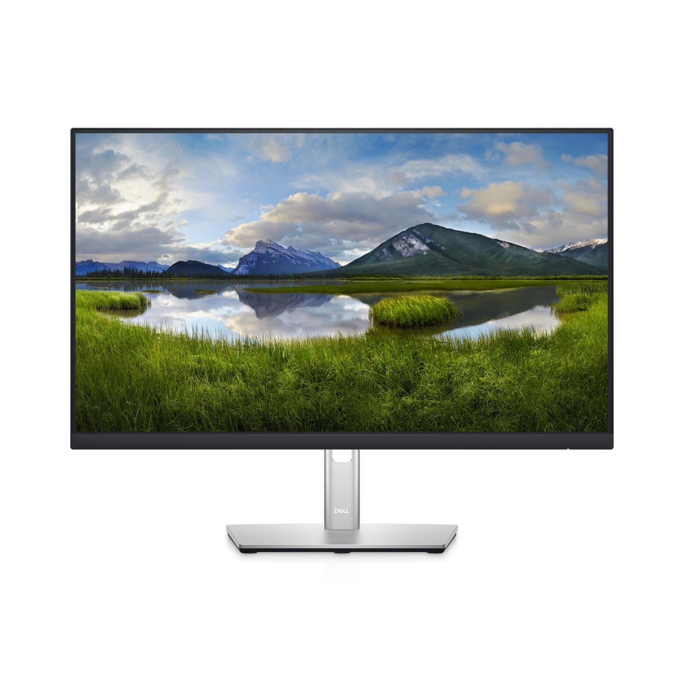 Dell DELL-P2422HE P2422HE 60.5 cm 23.8"" 1920