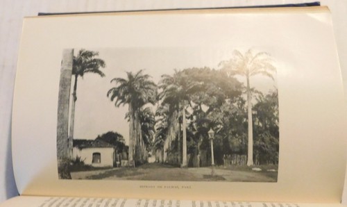1907 1ST RECOLLECTIONS ILL-FATED EXPEDITION TO HEADWATERS MADEIRA RIVER, BRAZIL - Foto 6 di 10