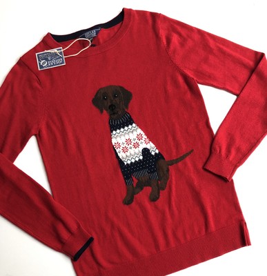 labrador sweater