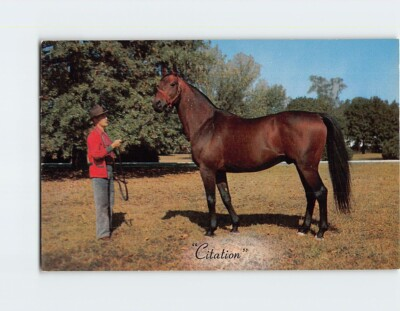 #ad Postcard Citation Calumet Farm Lexington Kentucky USA $3.49