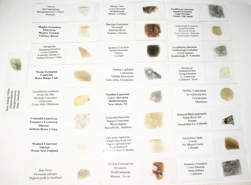 Geological Formation 25 Thin Section Slides Precambrian to Miocene Fossils Rocks