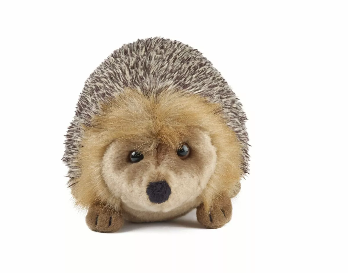Peluche erizo grande discount