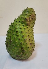 Guanabana Soursop Fresh Fruit 4 lbs