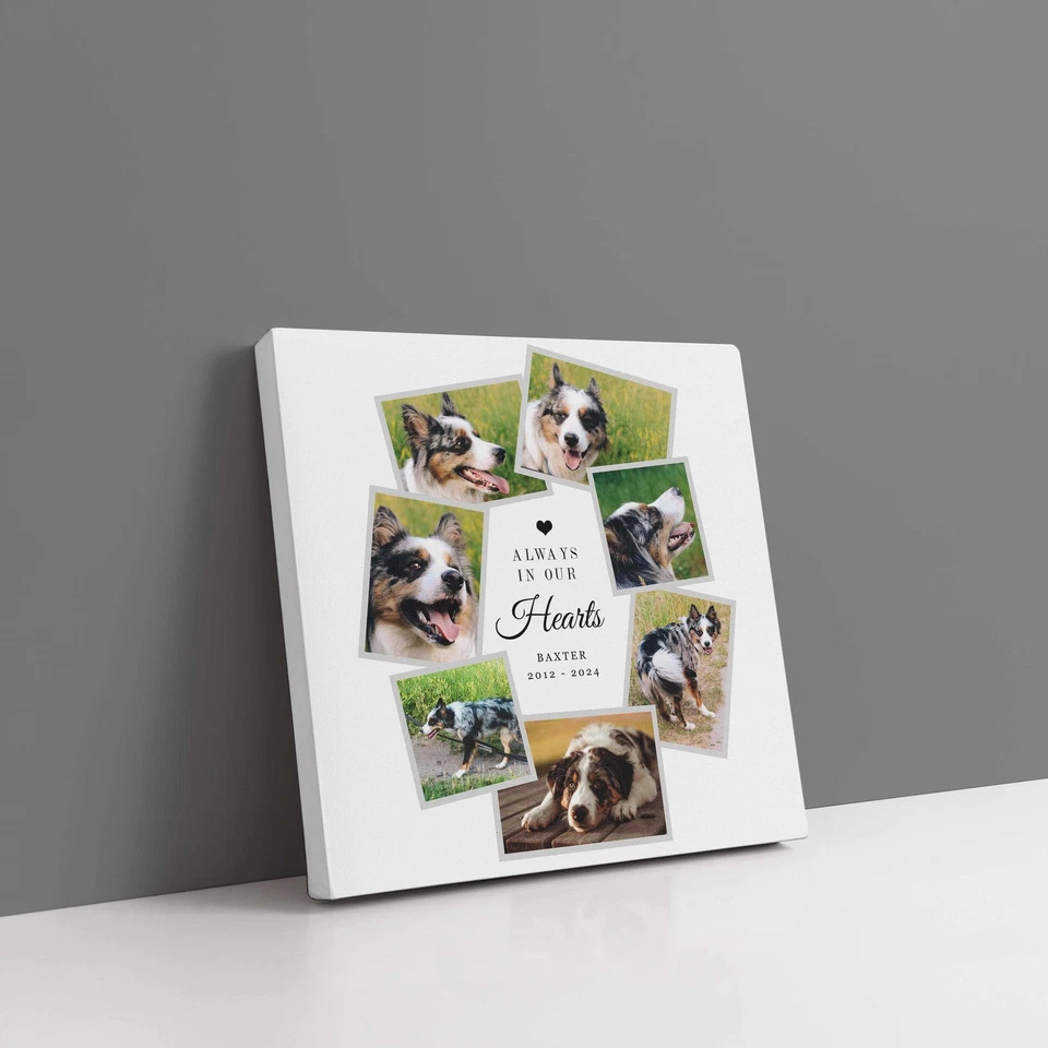 Pet memories, canvas picture print. Dog or cat memorial  - Image 2 of 4