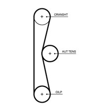 GATES Zahnriemen PowerGrip™ T375HOB für FORD FOCUS 4 HN Turnier HP HM EcoBoost