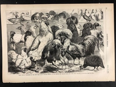 Trotters on the Snow, Stanley Fox,  Harper's Original Woodcut 4/10/1869