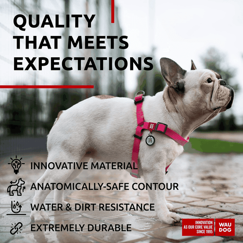 Waterproof Dog Harness Adjustable Dog Harness for Large Dogs Small and Medium - Picture 4 of 6