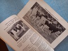 Vtg Carnation Farms Breeding Service Booklet Holstein Sire Directory Iowa Div — photo 6